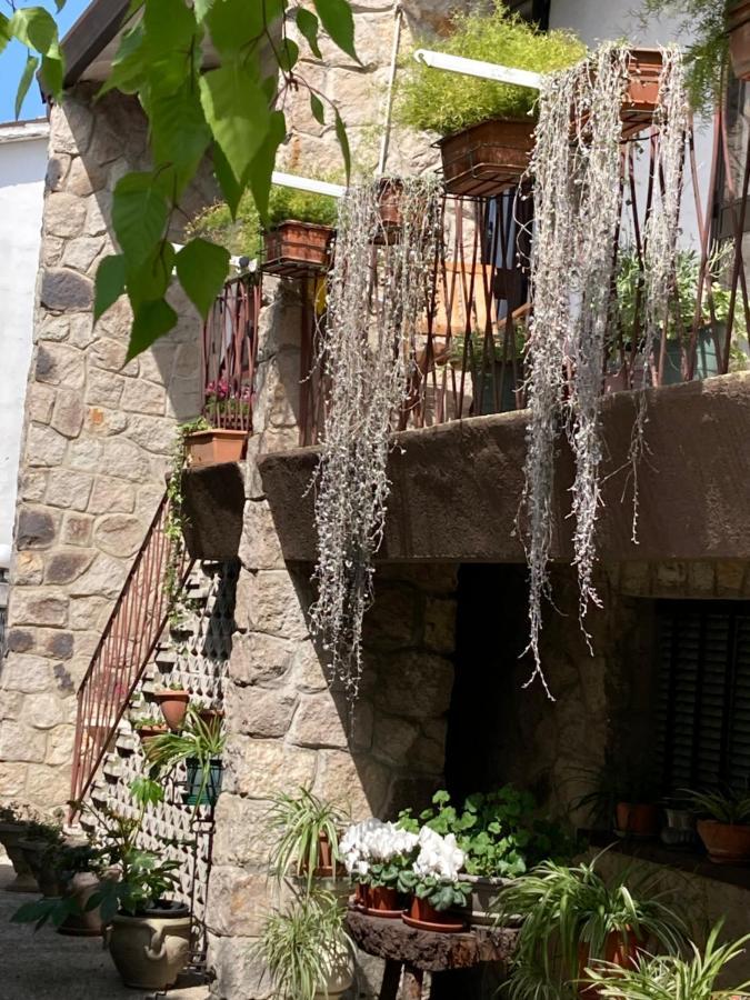 Tencarola B & B Экстерьер фото