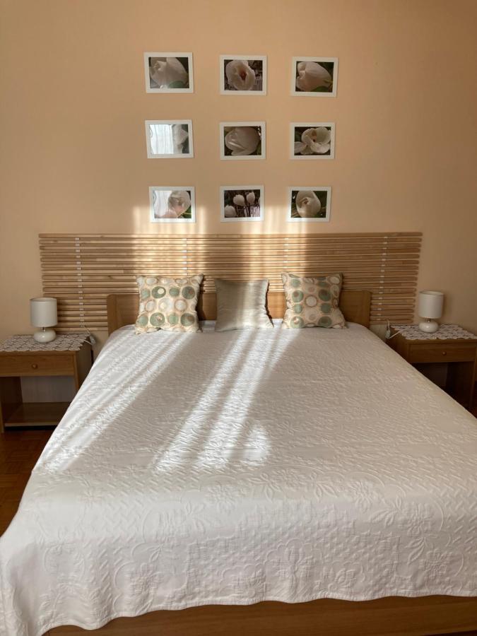 Tencarola B & B Экстерьер фото