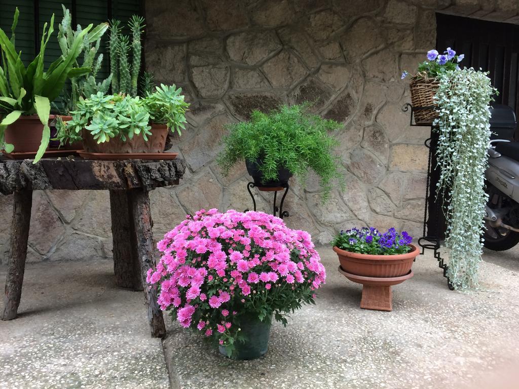 Tencarola B & B Экстерьер фото